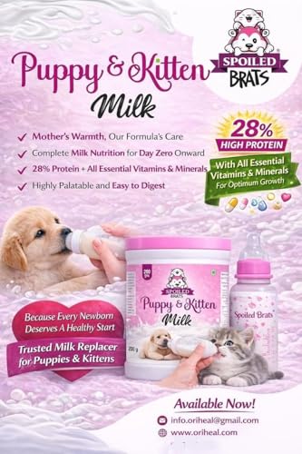 Image of Spoiled Brats Puppy & Kitten Milk Replacer Powder | High Protein with Essential Vitamins & Minerals | for Newborn Puppies, Kittens, Pregnant & Lactating Dogs & Cats | Pack of 200gm