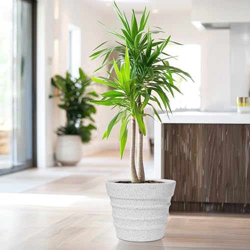 Image of YUCCABE ITALIA Fox B BR 14 Inch White Planter Pot Large Decorative Flower Pot for Home, Balcony & Garden