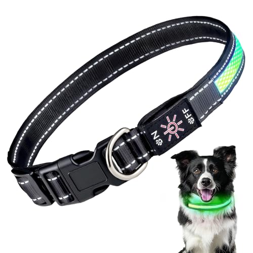 LED Light Up Dog Collar: Rechargeable Waterproof Safety Collars f...