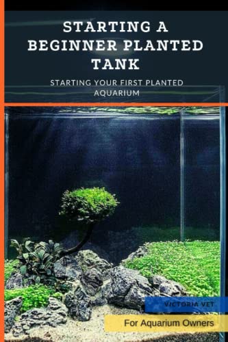 Starting A Beginner Planted Tank: Starting Your First Planted Aquarium