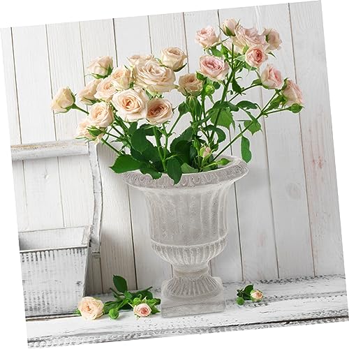 Vase en ciment pour plantes vertes et boutures de maison - 5
