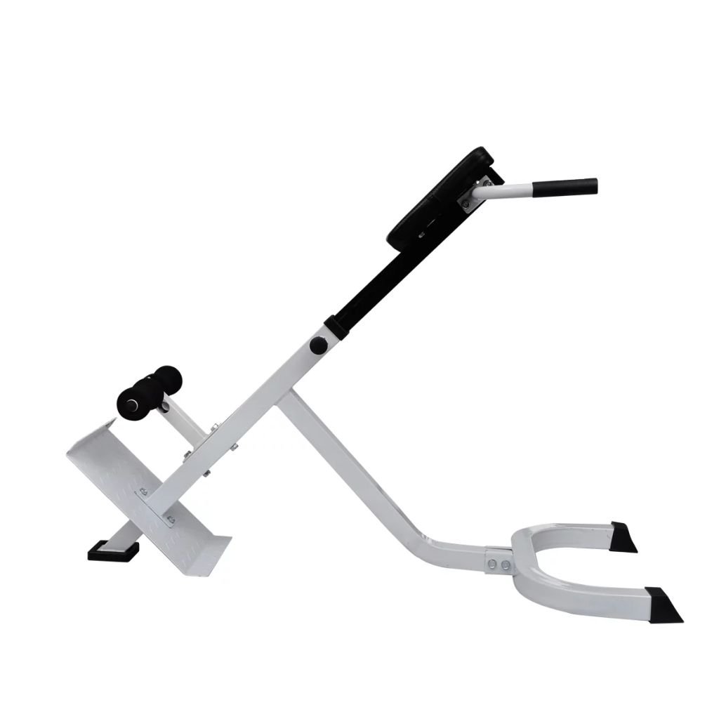 ShGaxin Banco de Ejercicios de lumbares, Rack Musculación, Banco Abdominales, Banco De Pesas Musculacion, Gimnasio En Casa, Banco Gimnasio, Banco Press Banca