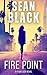Fire Point (Ryan Lock #6): A Ryan Lock Crime Thriller