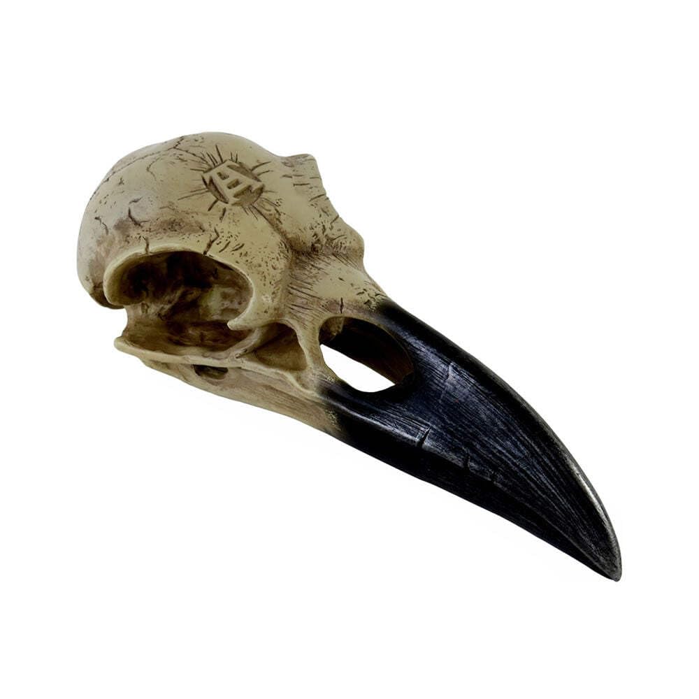Corvus Alchemica Raven Skull by Alchemy