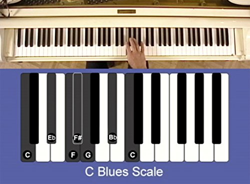 Best LEARN TO PLAY THE PIANO LESSONS FOR BEGINNERS, Perfect Video For The Piano Keyboard, Teaching Detailed Scales, Notes, Chords & Progressions For The Absolute Beginner - Thumbnail 3