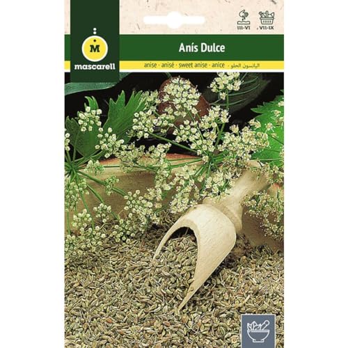 Mascarell Semillas, ANÍS DULCE, Semillas de Hierbas Aromáticas para Plantar, Crea tu Propio Huerto en Casa, 6 Gramos
