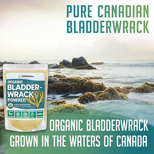 Xprs Nutra Organic Bladderwrack Powder (Fucus Vesiculosus) - Premium Bladderwrack Organic Powder For Glowing Skin - Vegan Friendly Bladderwrack Herb Iodine Supplement (4 Ounce) #TOP1