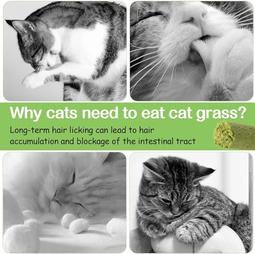 50g Cat Grass Teething Stick for Cat, Freezed Dried Cats Grass Treats Snacks, Edible Cats Chew Toys for Teeth Cleaning and Hairball Removal - Image 6