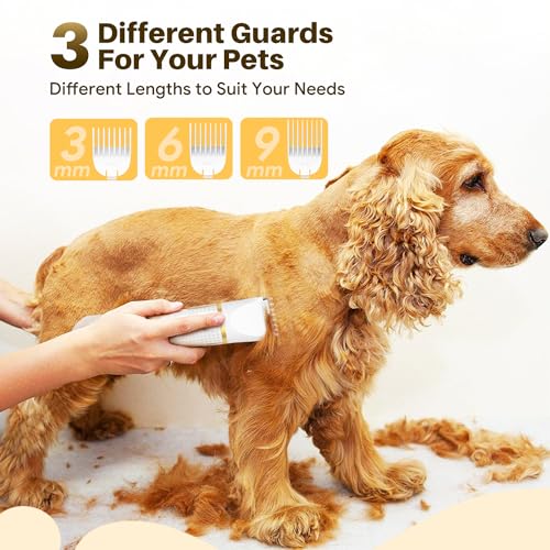 Small-Dog-Grooming-Kit-4-in-1-Electric-Cordless-Dog-Paw-Trimmer-with-Nail-Grinder-Low-Noise-Dog-Nail-Trimmers-IPX7-Waterproof-Small-Dog-Grooming-Clippers-for-Paws-Ears-Face-Hip-Hairl Small Dog Grooming Kit 4 in 1 Electric Cordless Dog Paw Trimmer with Nail Grinder Low Noise Dog Nail Trimmers IPX7 Waterproof Small Dog Grooming Clippers for Paws Ears Face Hip Hairl