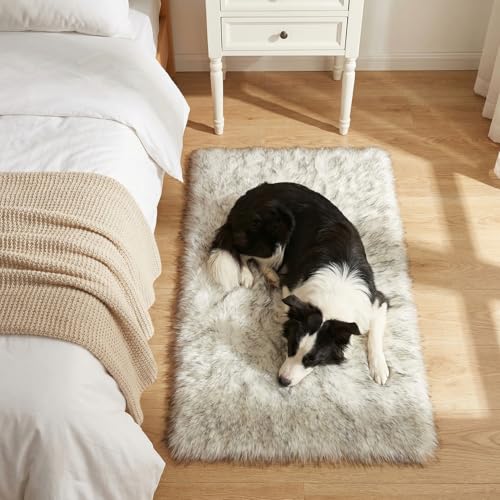 Mishukaze Tapis de Salon, Tapis de Course pour Chambre à Coucher, Lavable, antidérapant, Doux, Moderne, pour Enfants, Hallway, Salon (Pointe Grise, 50 x 80...