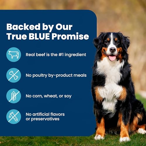 Image of Blue Buffalo Life Protection Formula Beef & Brown Rice Adult Dry Dog Food, Supports Immunity with Antioxidant-Rich LifeSource Bits, Promotes Healthy Muscle Development, Skin & Coat Health, 30 lbs.