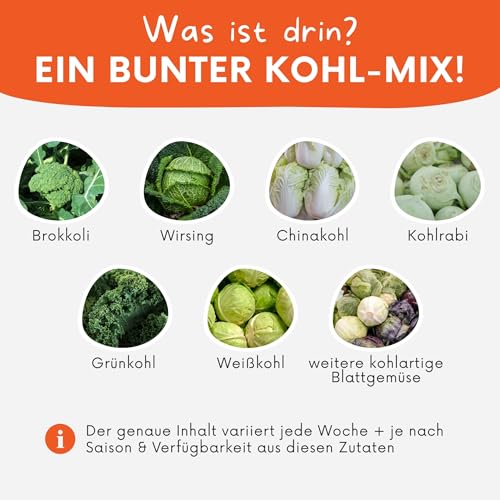 Kohl‑Lover Frischfutter-Box 3 kg – Ausgewognene Kohl‑Mischung für Kaninchen, Meerschweinchen & weitere Heimtiere | Blatt‑ & Kohlsorten liebevoll zusammengestellt | Versand Immer Montag & Dienstag