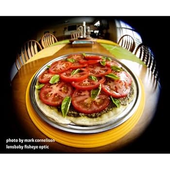 Amazon.co.jp: Lensbaby Scout + Fisheye Sony Alpha : Electronics