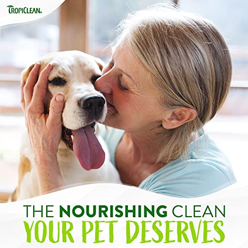 Tropiclean Aloe & Coconut Deodorizing Dog Shampoo For Smelly Dogs | Odor Control Shampoo For Stinky Dogs | Natural Pet Shampoo Derived From Natural Ingredients | Cat Friendly | Made In The Usa | 20 Oz #TOP7