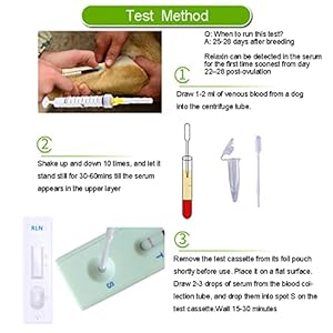 Dog Pregnancy Test Kit at Home White Fast and Accurate Detection Pregnancy Tests Strip for Dog Disposable Pet Clinic Equipment  Cucciolini Doodles Dog pregnancy test kit at home white fast and accurate detection pregnancy tests strip for dog disposable pet clinic equipment   cucciolini doodles
