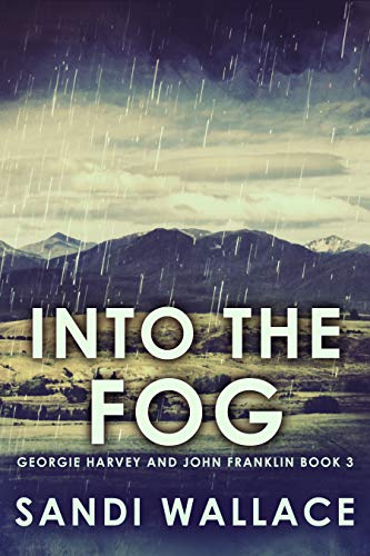 Into The Fog (Georgie Harvey and John Franklin Book 3) by [Sandi Wallace]