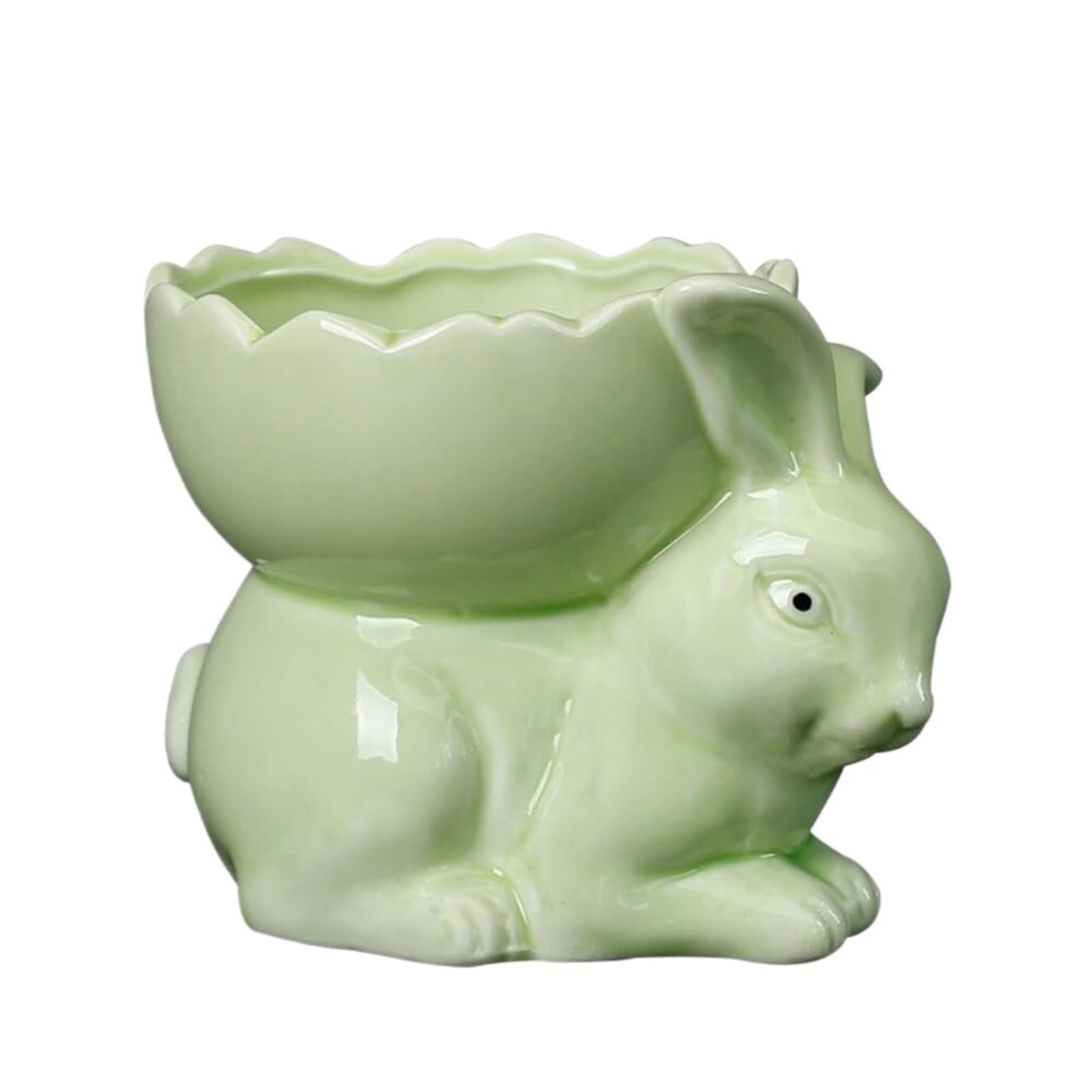 MDNIPQBAM natural Creative Rabbit Succulent Flower Pot/Plant Bonsai Decoration Large Size for garden(D)