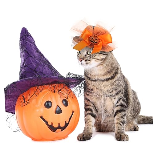 Disfraz Halloween con sombrero calabaza y falda tutu para perros y gatos miniatura 4
