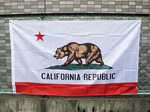 Amazon.co.jp: カリフォルニアリパブリックのアメリカン フラッグ/REKS 
