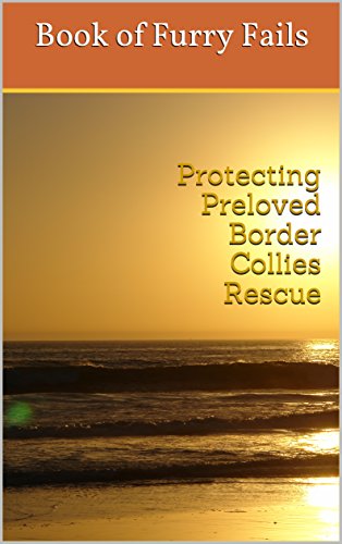 protecting preloved border collies