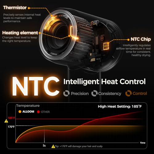 Image of High-Speed Hair Dryer Pro | Trusted by Pro Stylists, Heat Damage Protection & 600 Million Ions Blow Dryer for Hair Care Beyond Salon, Fast Drying & Low Noise, Hairdryer with Diffuser, Nozzle, Comb