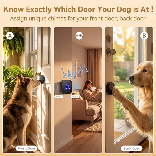 TECKNET Dog Door Bell, Dog Bells to Go Outside with 55 Melodies, 1000 Feet Range, 5 Volume (0-120dB) & 2 Modes, IP65 Waterproof, Dog Bell with 1 Receiverand 2 Transmitters, Black by TECKNET - Used condition - Image 3