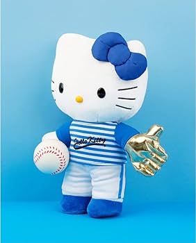 51dqskw0ggL._AC_UF350,