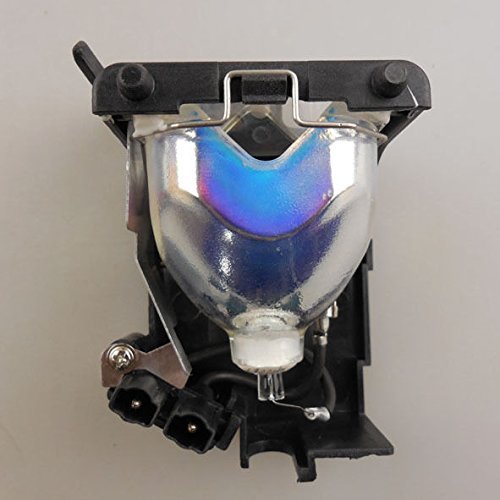 Periande DT00461 Perjector lampada (con custodia)