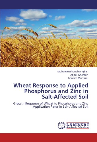 Wheat Response to Applied Phosphorus and Zinc in Salt-Affected Soil
