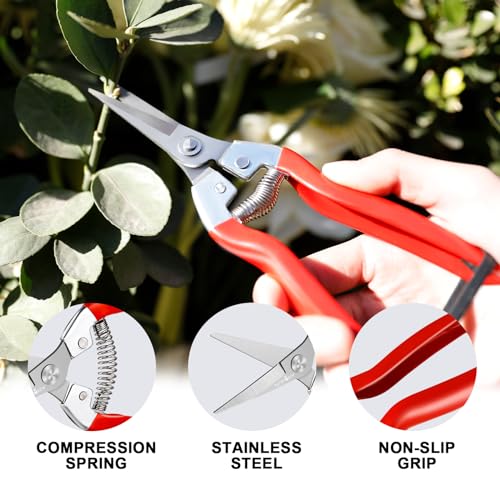Set profesional tijeras de podar con medidor de humedad miniatura 5