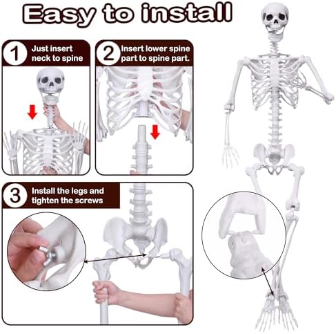 51dqzDzlPuL._AC_ Halloween Skelett Dekorationen Lebensgroßes Skelett 2 Stück Full Size Skelett Kunststoff Menschliches Skelett mit beweglichem Gelenk für Halloween Outdoor