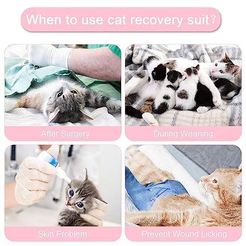 Image of Cat Surgery Recovery Suit Cats Surgical Onesie After Surgery Female Male Cat Post Spay Neuter Bodysuit Anti-Licking Wounds Cat Cone Alternative Pink Leopard /M