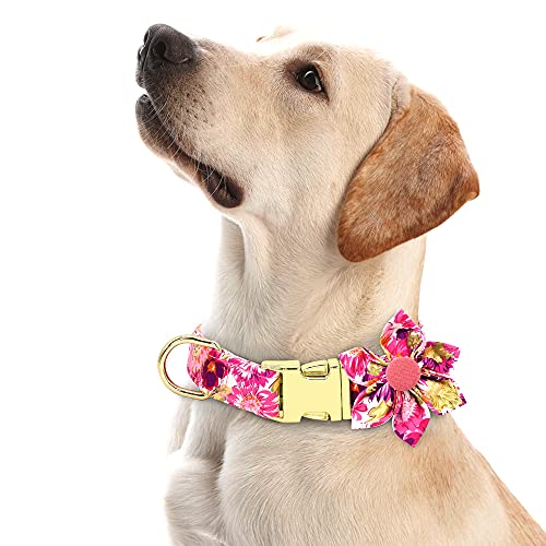 Girl Dog Collar with Flower, Adjustable Cute Dog Collar, Soft & Durable Floral Dog Collar for Small Medium Large Dogs… - Image 3