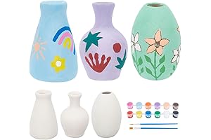 WEBEEDY Paint Your Own Vase Ceramic Vase Set