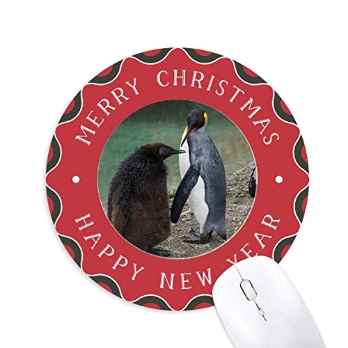 C̗₽ɃyMȊw͎R̎ʐ^ ~`S̃NX}X}EXpbh