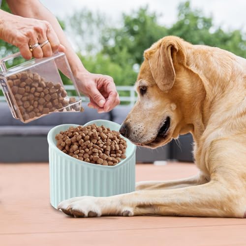 Gamelles en céramique pour chat et petit chien inclinées - 8
