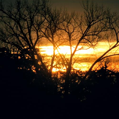 『FREELY GIVEN』のカバーアート