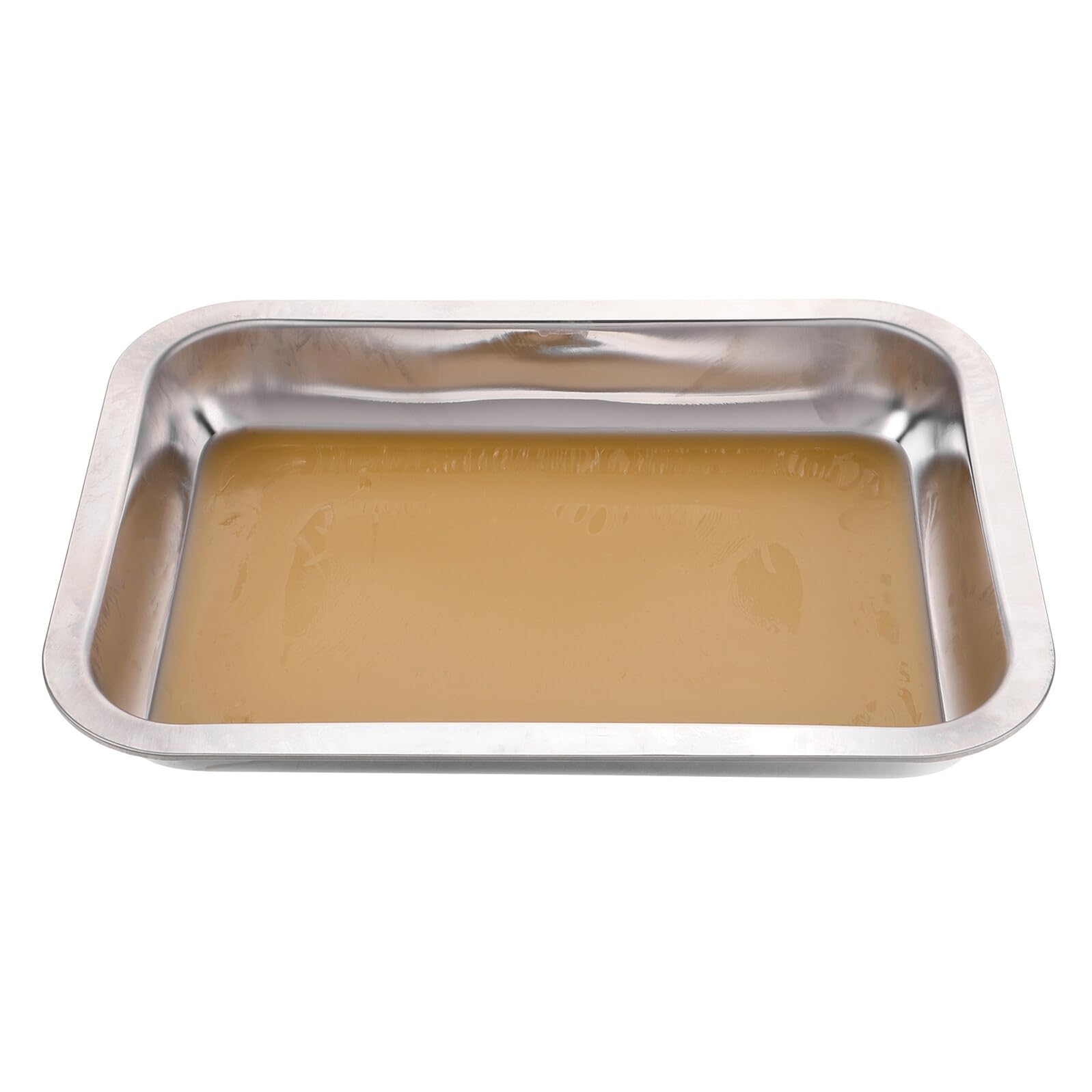 SEWACC Bandeja de Disección de Acero Inoxidable con Base de Cera Resistente y Duradera para Laboratorio Biológico Herramienta Versátil para Enseñanza y Experimentos Científicos