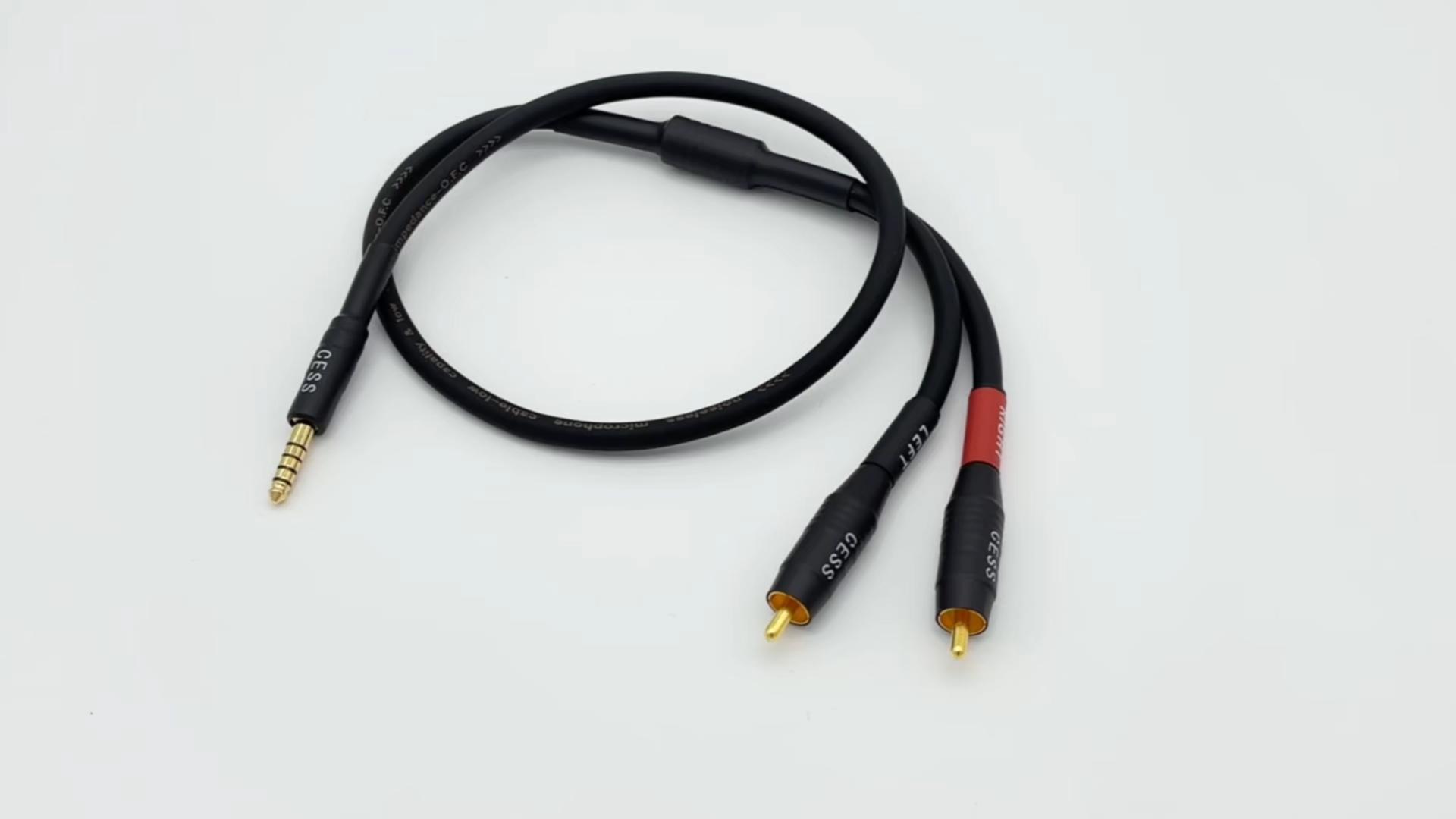 Amazon.com: CNCESS CESS-262 4.4mm Balanced Male to 2 RCA Audio