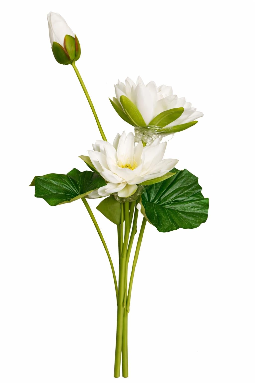 Artificial White Lotus Flower Bunch, White, Fabric, 45 cm, No Watering Required, Home Décor, Indoor Use-image-31