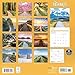 Pathways Calendar 2026