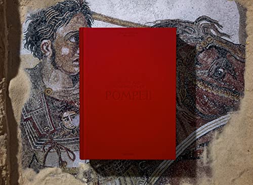 Fausto & Felice Niccolini: Houses and Monuments of Pompeii / Hauser und Monumente von Pompeji / Mais
