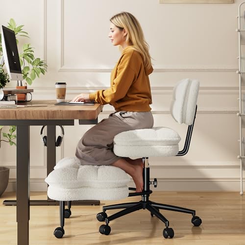 DurayLoly Ergonomic Office Chair