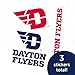 Desert Cactus University of Dayton Sticker Flyers UD Vinyl Decals Laptop Water Bottle Car Scrapbook T5 (Type 5-1)