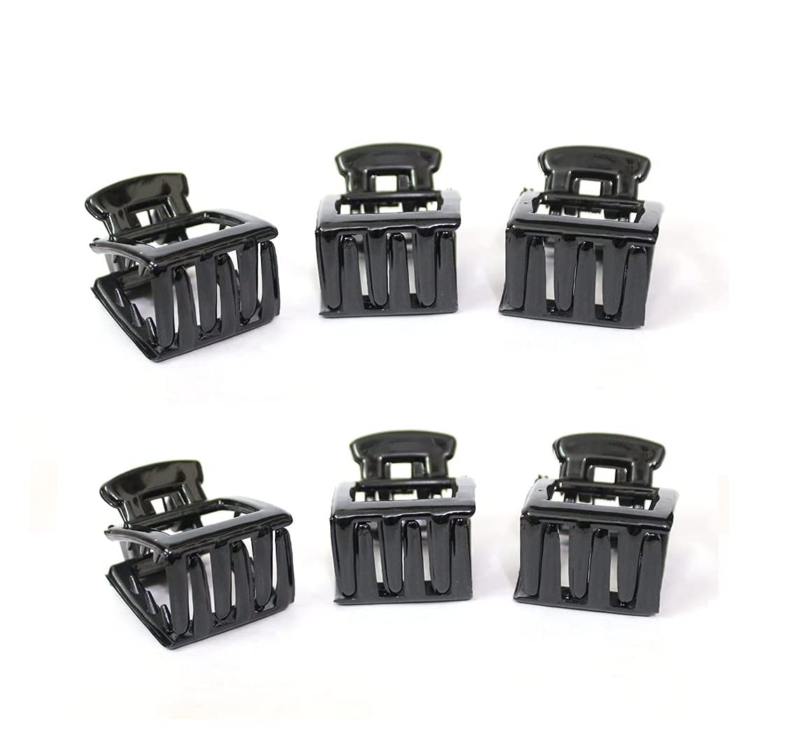 FABSH Combo Black Hair Clips, Hair Clutcher, Hair Claw Clips Square Shape For Women and Girls For Daily Use Stylish Trendy Hairstyling Tools and Accessories (Pack of 6) (B0BS1SWTR2) Amazon Price History, Amazon Price Tracker