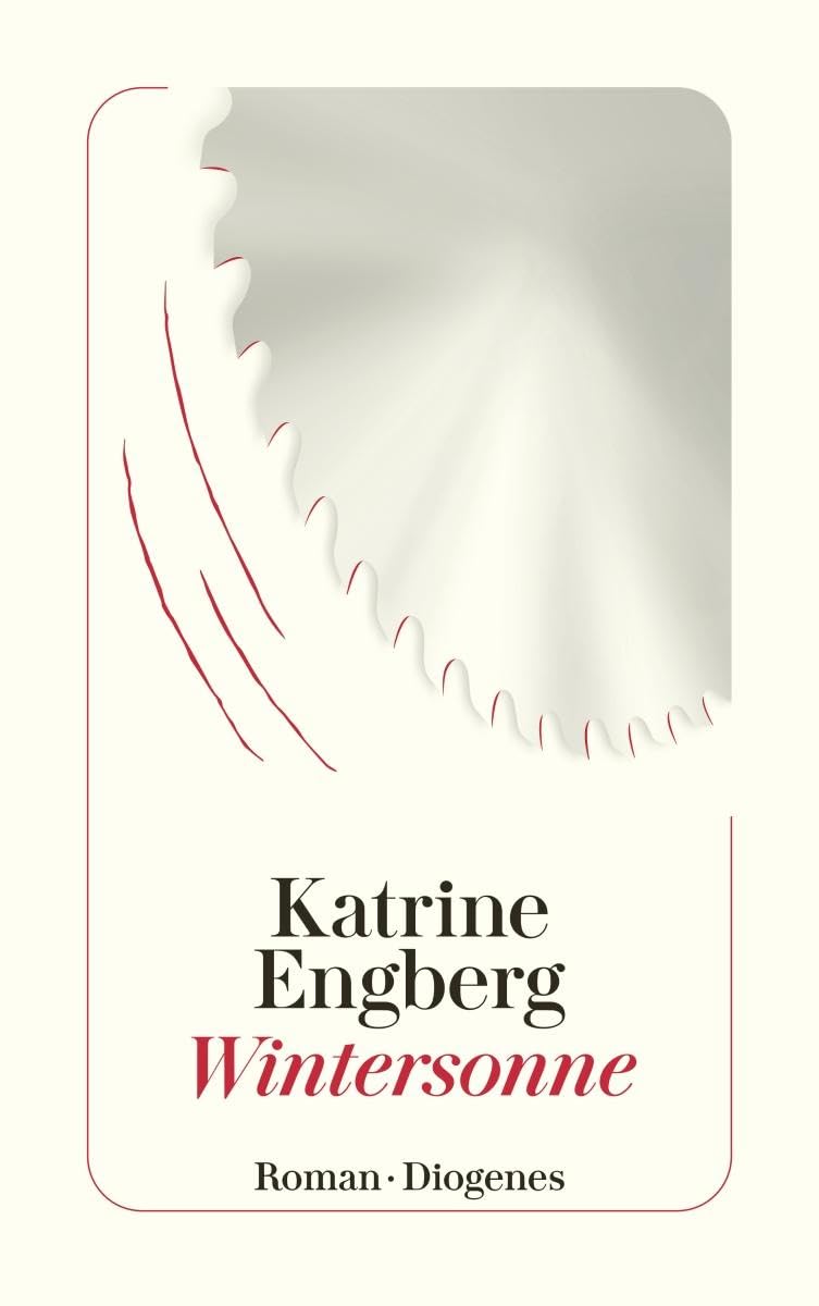Wintersonne: Der Kopenhagen-Krimi (detebe)