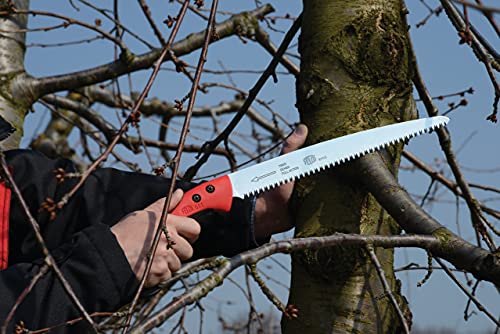 Felco Pruning Saw (F 611) - Classic Tree Pull Stroke Pruner Saw W/ Carrying Sheath #TOP4