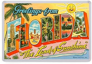 Greetings From Florida Fridge Magnet. Vintage Postcard Art