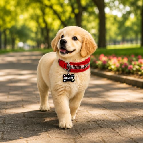 Image of Customized Dog Neck Belt Collar with Name ID Tag, Soft Fur Padded Dog Collar | for 36-45 Kilograms Dogs (XL, RED)