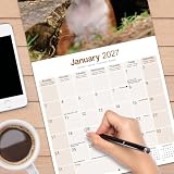 Avonside Bokser 2027 Kalendarz z Naklejkami Organizacyjnymi, 16-Miesięczny Kwadratowy Kalendarz Ścienny (wrz 2026 - gru 2027), Planer dla Miłośników Psów, 29,5 x 29,5 cm